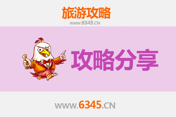 桂林全州至湄洲岛旅游攻略：跟团还是自由行选择指南